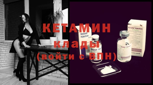 индика Алексин
