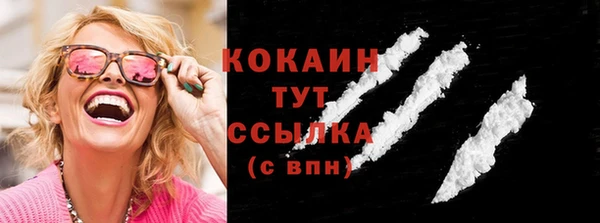 шишки Армянск