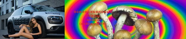 ALPHA PVP Аркадак