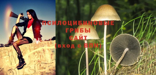 шишки Армянск