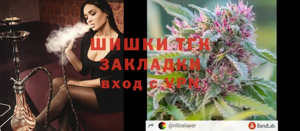 шишки Армянск
