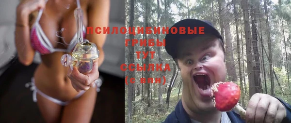 шишки Армянск