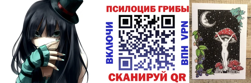 Галлюциногенные грибы Psilocybe  мега   Большой Камень 