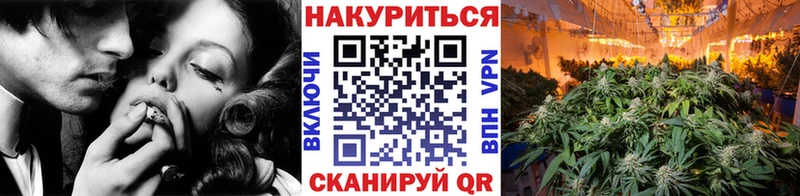 Бошки марихуана VHQ как найти наркотики Большой Камень